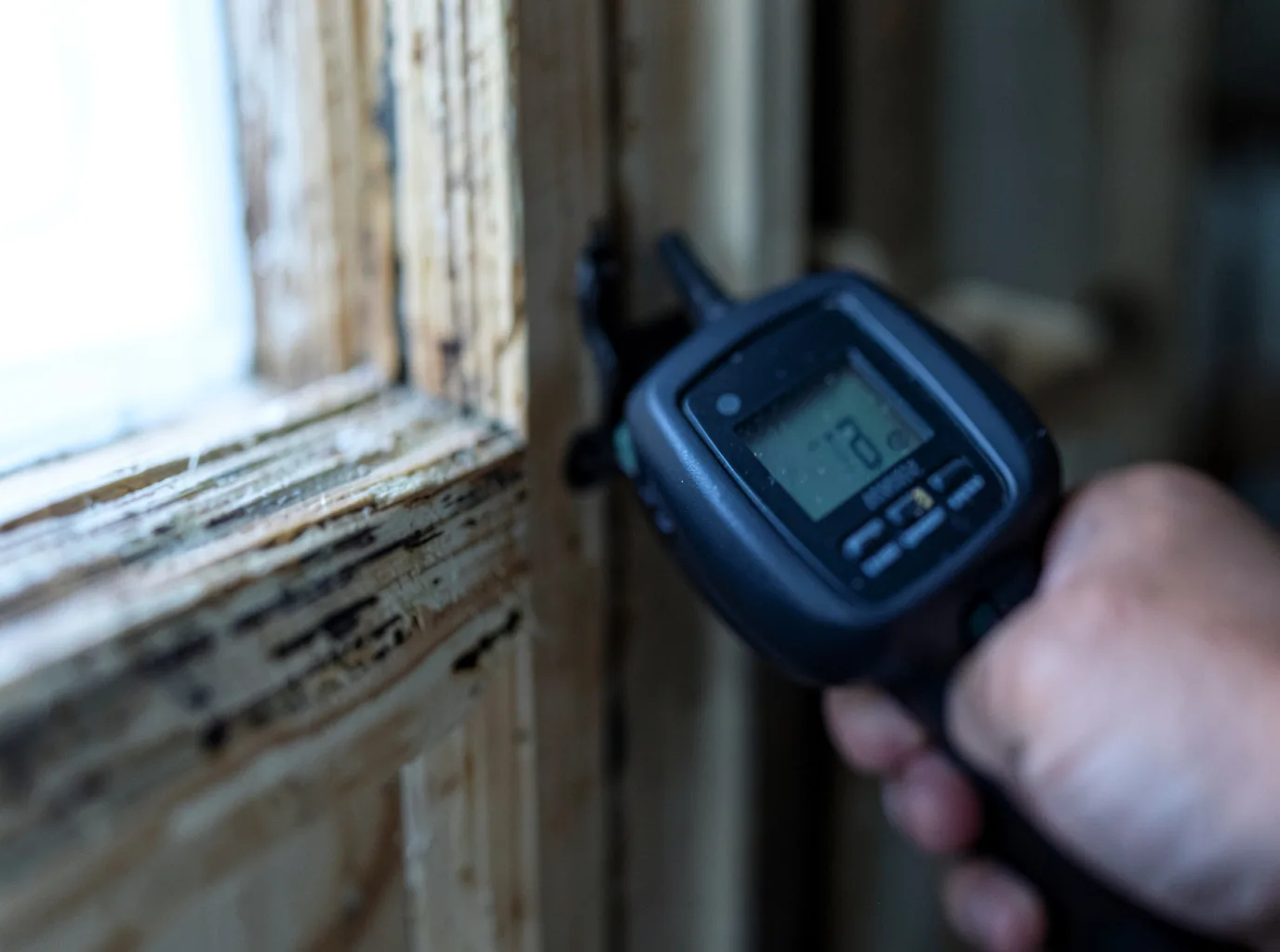 Moisture Inspection And Documentation in Worthville, KY
